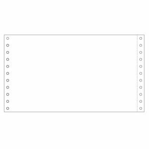 ●10”×5_1/2●ストックフォーム●1枚複写●入数（枚・セット）10004902668010543