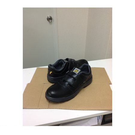 (LINEクーポン有)GDJAPAN ジーデージャパン 4560153012757 W1200 静電機能付き 安全靴 黒 マジック 30．0(4.0)