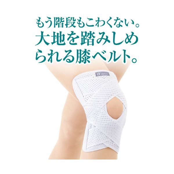 アルファックス 202608 お医者さんのがっちり膝ベルト S