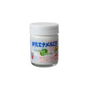 「直送」ニッペホームプロダクツ 49365306 直送 代引不可・他メーカー同梱不可 水性エナメルミニ 25ml ホワイト HSB001−25