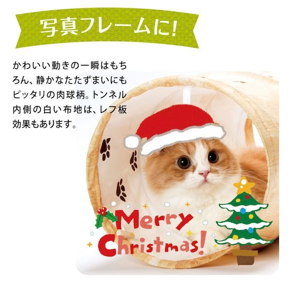 iDECA 楽天市場店の猫壱 4580471863770 キャットトンネル 木目柄｜アングル3