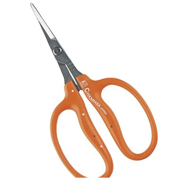 翌日出荷 直送 代引不可・他メーカー同梱不可 近正 B-500S ステンぶどう鋏 BP B500S【キャンセル不可】