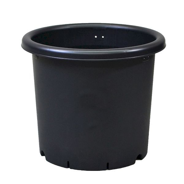 (LINEクーポン有)アップルウェアー 4905980972087 菊鉢7号BK ブラック プラスチック プラ鉢