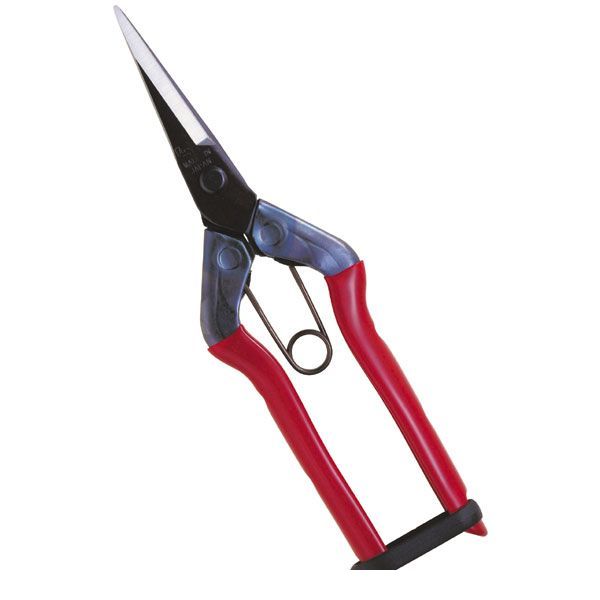 翌日出荷 直送 代引不可・他メーカー同梱不可 近正 T-550 芽切鋏 尖直刃 BP T550