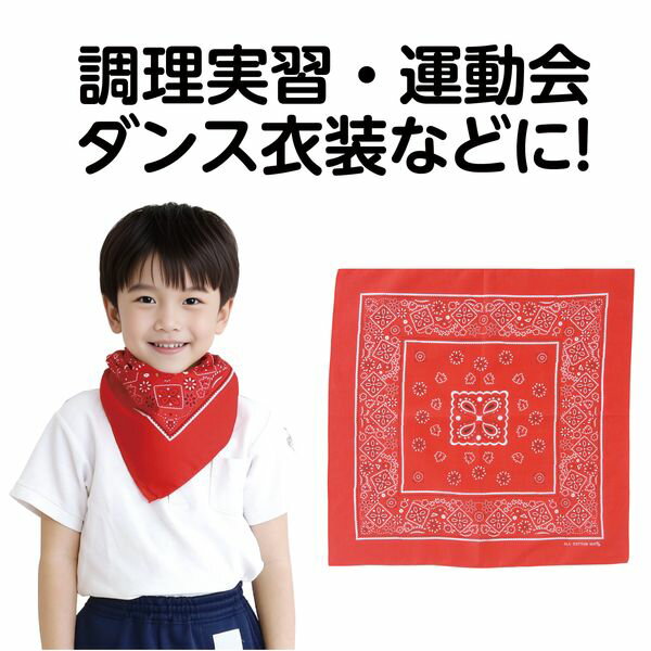 �����ƥå� ArTec 001243 �Х���ʡ���