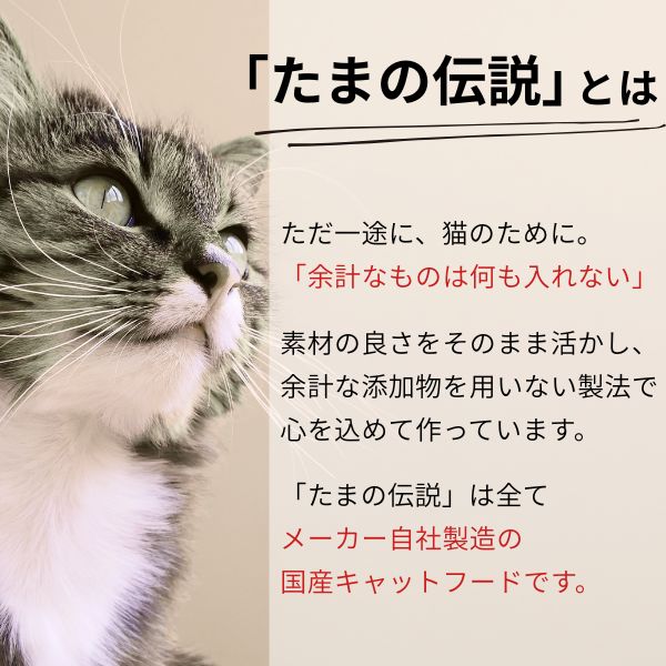 サンプル画像2