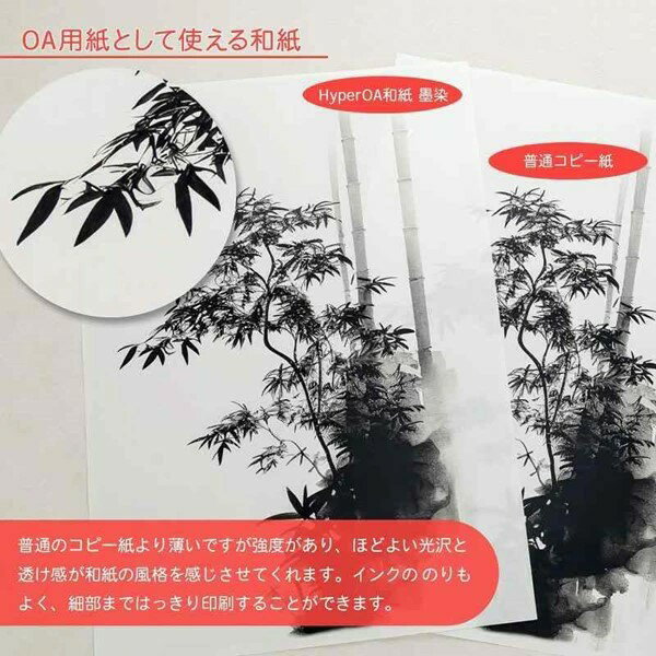 【即納在庫品】墨運堂 28906 【10個入】 ハイパーOA和紙墨染 A4