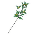 【造花・装飾】【数量限定につき、売切の際はご了承ください】 LESP81915 【10個入】千両スプレイ【26】 イエロー LESP8191