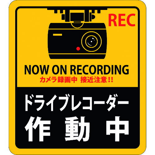 ¨Ǽ߸ʡۡľн 047131 ƥåɸ ɥ饤֥쥳ư Ž131 180160mm 2 