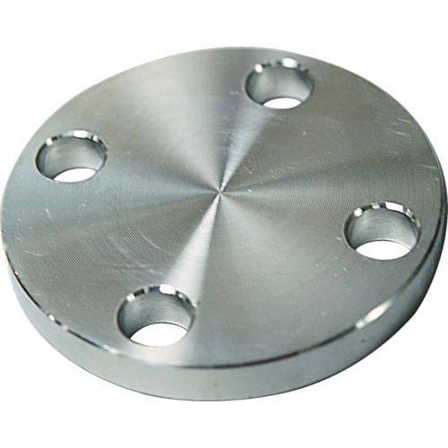 ��¨Ǽ�߸��ʡۡ�ľ���ץե����Х� SUS10KBLFF20A SUS304 10K �Ļߥե�� 14100571 SUS-10K-BL-FF-20A FLOBAL