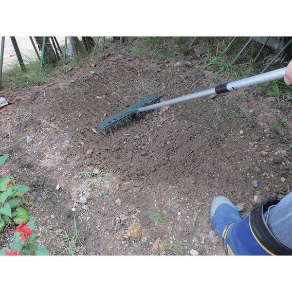 (LINE�����ݥ�ͭ)��¨Ǽ�߸��ʡۡ�ľ���ץ���ѥ� 4935682030211 ����߿��̥졼��12���� COMPAL TR����ѥ� ������