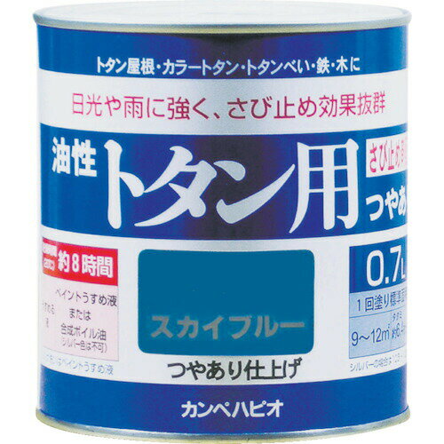 ¨Ǽ߸ʡۡľץڥϥԥ 00147645091007  ȥ07L졼 KANSAI ALESCO KANPE...