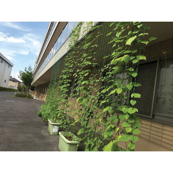 ��¨Ǽ�߸��ʡۡ�ľ���ץ��������� 4960256260961 �Ĥ��α�ݥͥå� �� 10cm���� ��1��8mXĹ��1��8m Dio ���Υ٥å��� �Ĥ��α�ݥͥå�10cm��