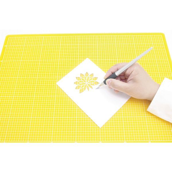 ��¨Ǽ�߸��ʡۡ�ľ����4904011016639 �ǥ�����ʥ����ؿ� ��⹩��� ����30��