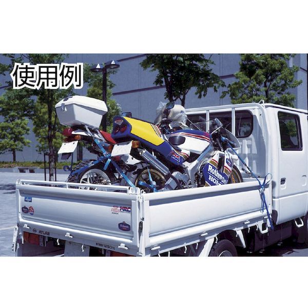 【即納在庫品】「直送」TESAC C03E010030A ラッシングベルト ベルト荷締機 カムバ...