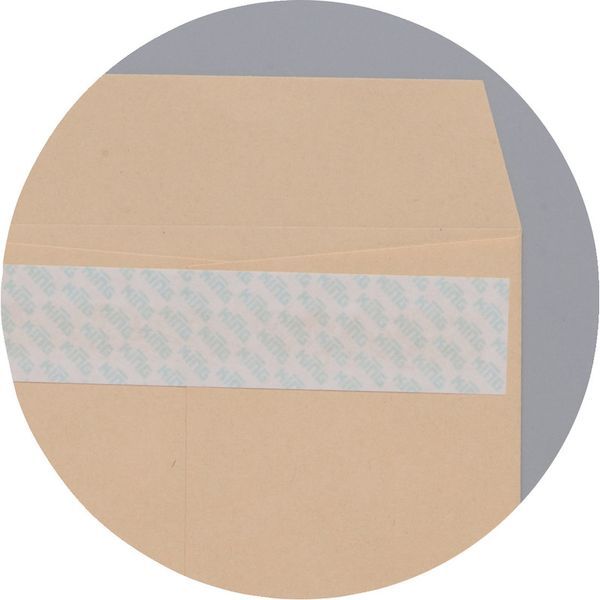 （業務用2セット）プラス 背幅伸縮フラット セノバスFL-021SS 桃10冊