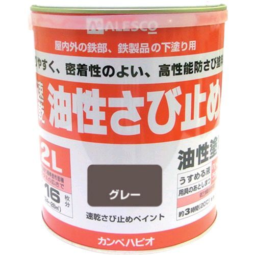 ¨Ǽ߸ʡۡľץڥϥԥ 00137645091020  ®ӻߤ 2L 졼 KANSAI NO108005-2 A...