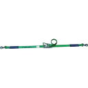 【即納在庫品】「直送」allsafe R5SSH15 ベルト荷締機 ラチェット式回転スナップフック 重荷重(4)
