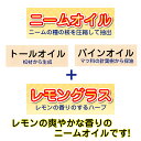 ideshokai:10000012のサンプル画像2