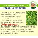 ideshokai:10000012のサンプル画像3