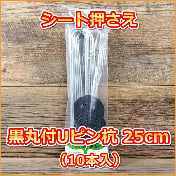 シート押さえ 黒丸付Uピン杭 25cm（10本入）[園芸用マルチ]