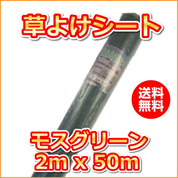 �̹��ݺ�������褱�����ȡ��⥹���꡼��(2mx50m)����������[����ѥޥ��]