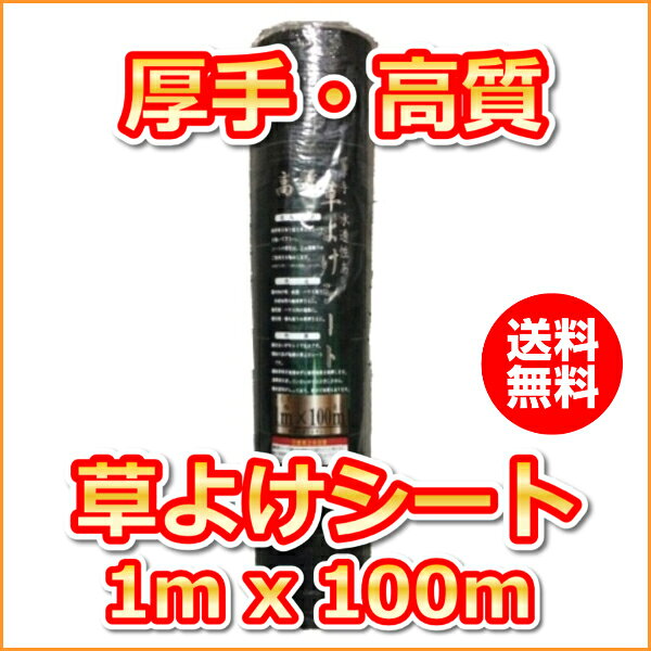 �������褱������(1mx100m)����������[����ѥޥ��]