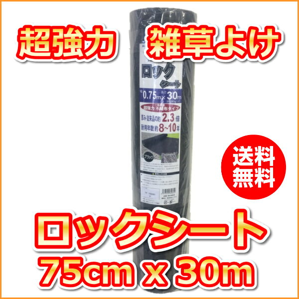 Ķ���ϻ���褱�֥��å������ȡ�(0.75mx30m)����������[����ѥޥ��]