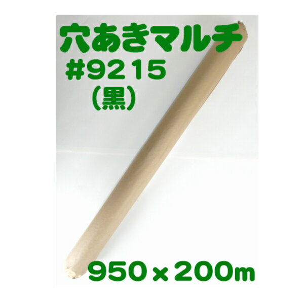 BANーZI 防水・防錆シート BAN-ZI AIDシリコン クリア20cm×25cm クリア I-AICM/2025 1枚 ▼370-1701【代引決済不可】