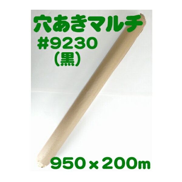 【送料無料】　穴あきホールマルチ　#9230（黒）　［農業用マルチ][ガーデニング雑貨 園芸用品 マルチ 園芸]