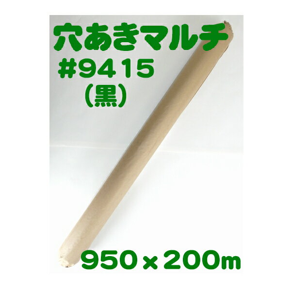 ̵ۡꤢۡޥ#9415ʹˡѥޥ][ǥ˥󥰻  ޥ ]