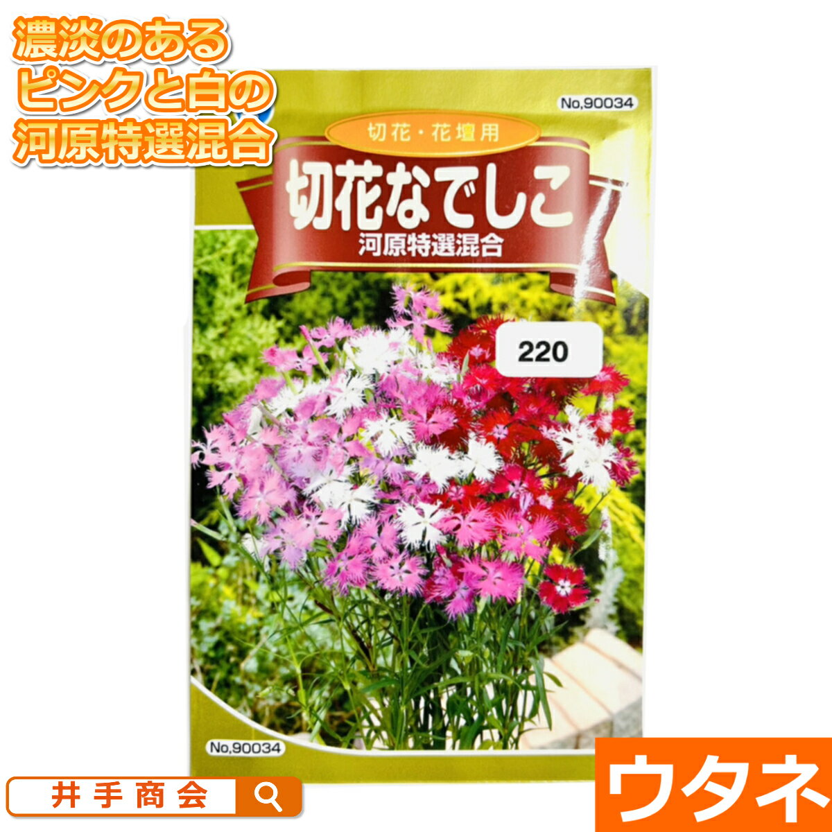 切花なでしこ　河原特選混合　(種：ウタネ)【ガーデニング 花壇 種 種子 花 切花】