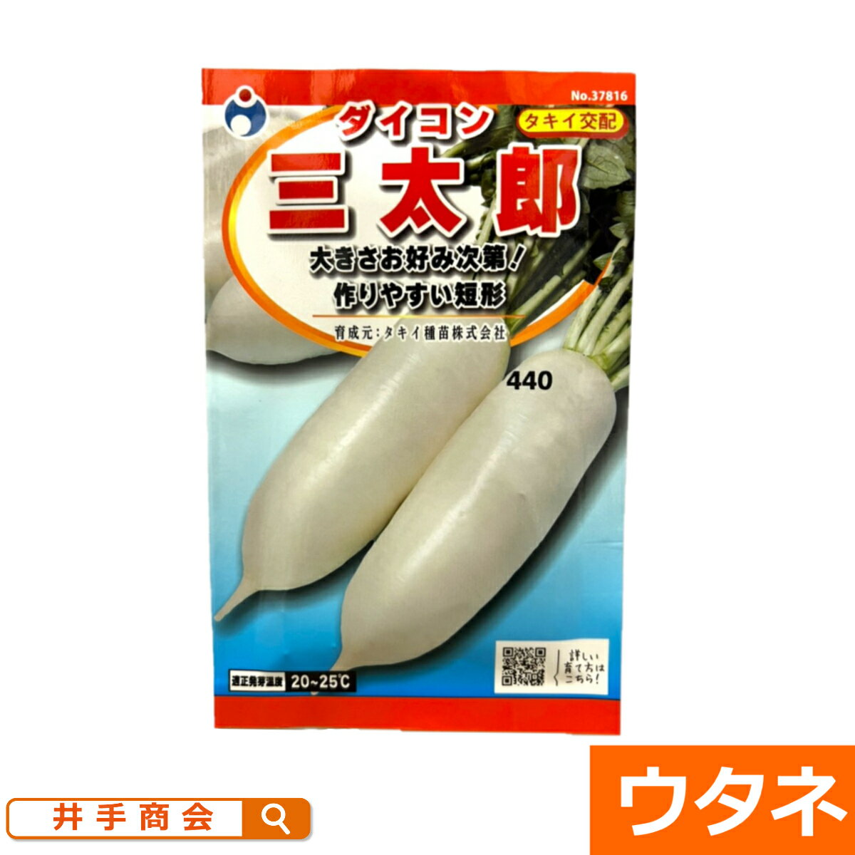 ダイコン三太郎（種：ウタネ）[ 大根 種 家庭菜園 種子]