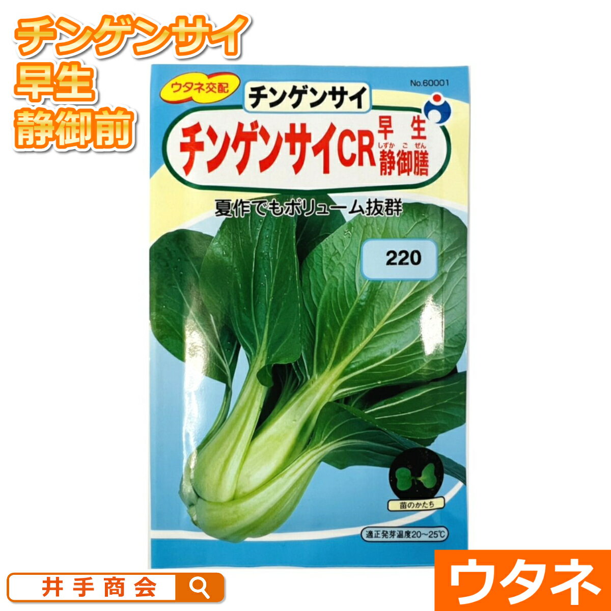 チンゲンサイ　CR早生静御膳（種:ウタネ）[チンゲン菜 チンゲンサイ 種子 青梗菜 家庭菜園 種]