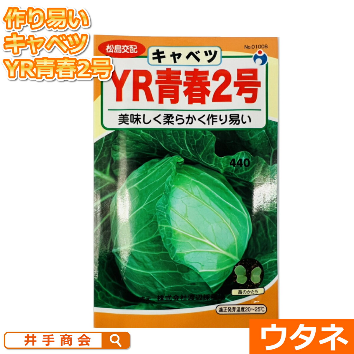 キャベツ YR青春2号甘藍 （種:ウタネ）[キャベツ 種子 種 家庭菜園]