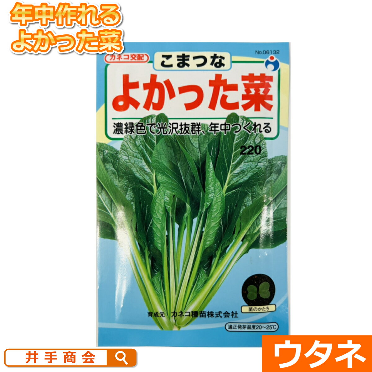 ���������ڤ褫�ä��ڡʼ�:�����͡�[������ ��� �� �����ڱ�]