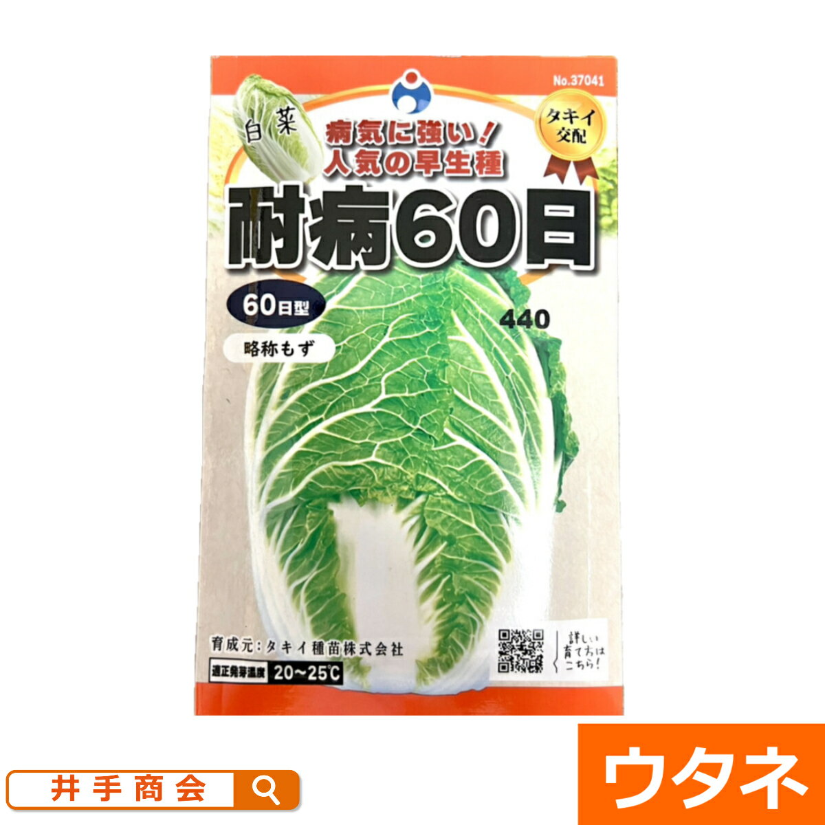 耐病六十日(白菜）　（種:ウタネ）[ハクサイ 家庭菜園 種子 種 白菜]のサムネイル