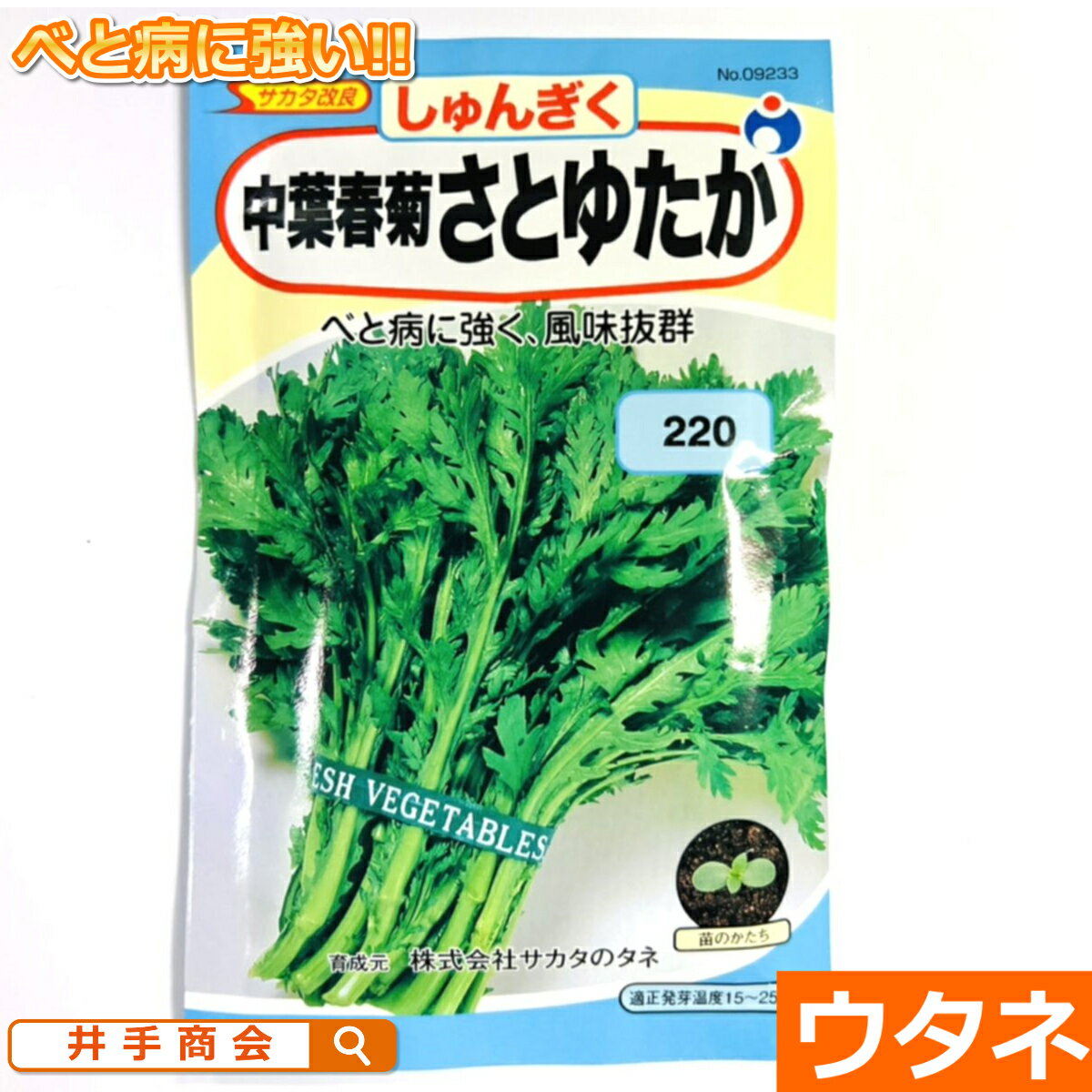 中葉春菊さとゆたか （しゅんぎく）（種:ウタネ）[春菊 家庭菜園 種子 種]