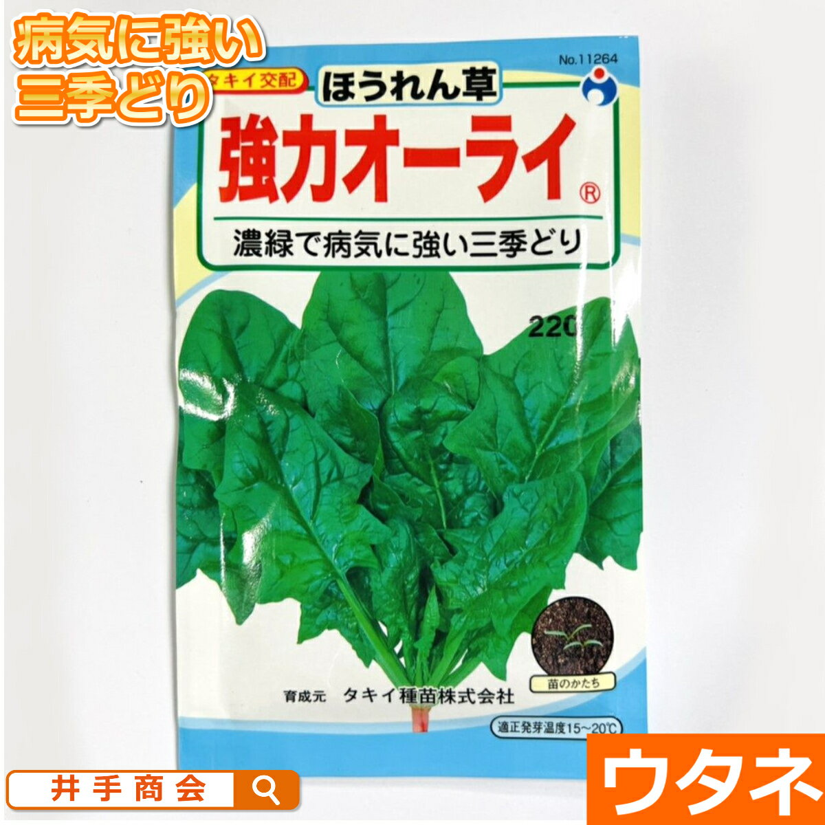 ほうれん草 強力オーライ（種:ウタネ）[ほうれん草 家庭菜園 種子 ホウレンソウ 種]