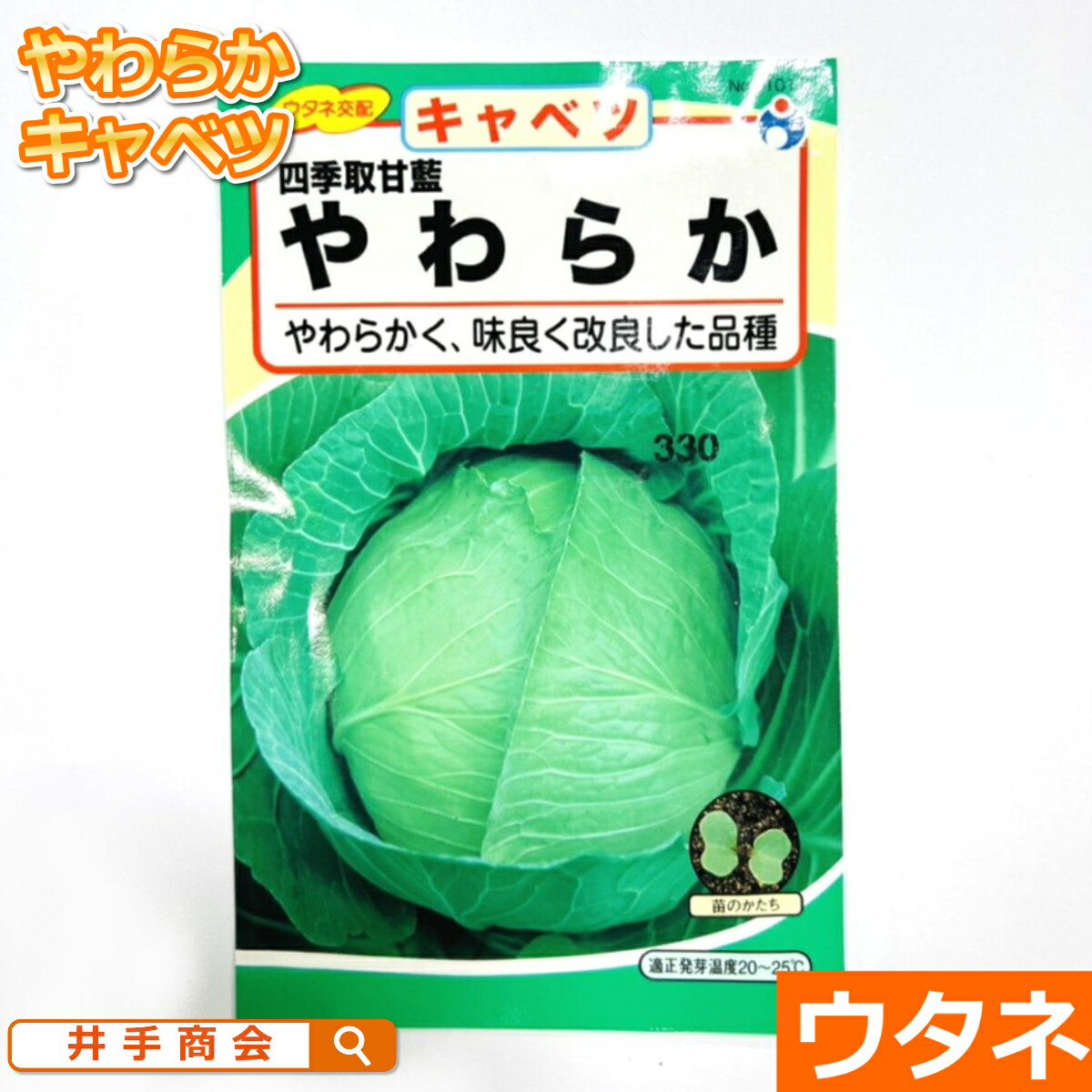 キャベツ 四季取甘藍やわらか（種:ウタネ）[キャベツ 種 種子 家庭菜園]
