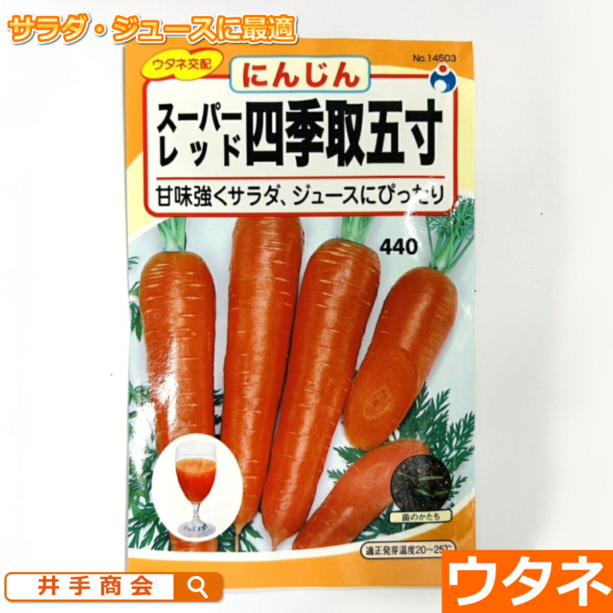 四季取スーパーレッド五寸人参（ニンジン）（種:ウタネ）[にんじん 家庭菜園 人参 種子 種]