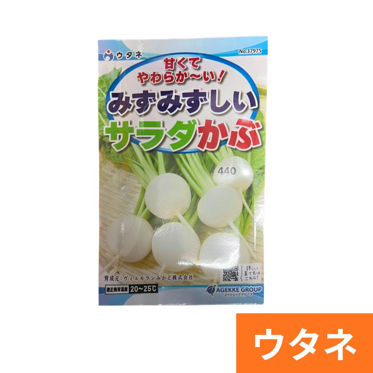 みずみずしいサラダかぶ（蕪）（種:ウタネ）[カブ 種 種子 家庭菜園 蕪]