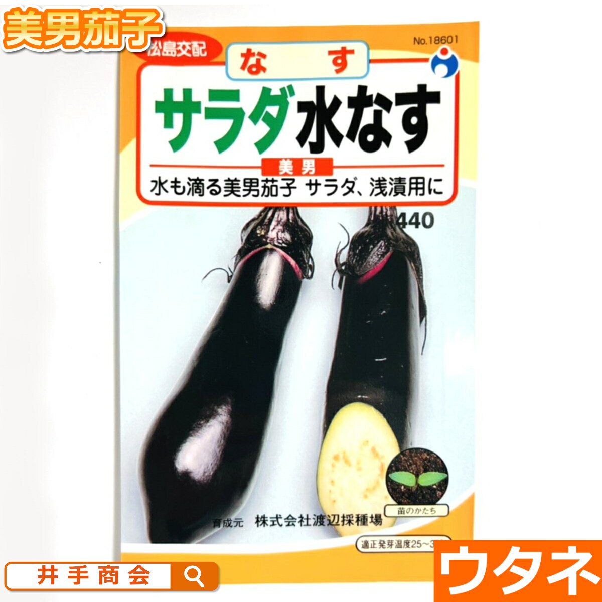 サラダ水茄子（美男）（ナス）（種:ウタネ）[ナス 茄子 種 種子 家庭菜園]