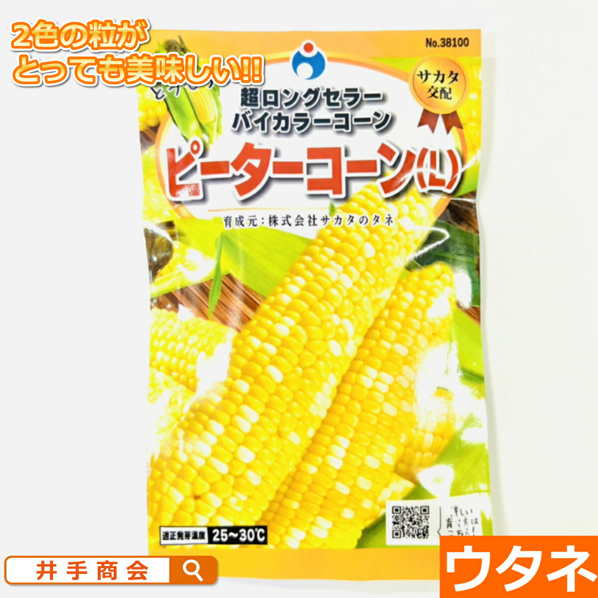 ピーターコーン（L）（トウモロコシ）（種:ウタネ）[トウモロコシ 種 家庭菜園 種子 中生 徳用]