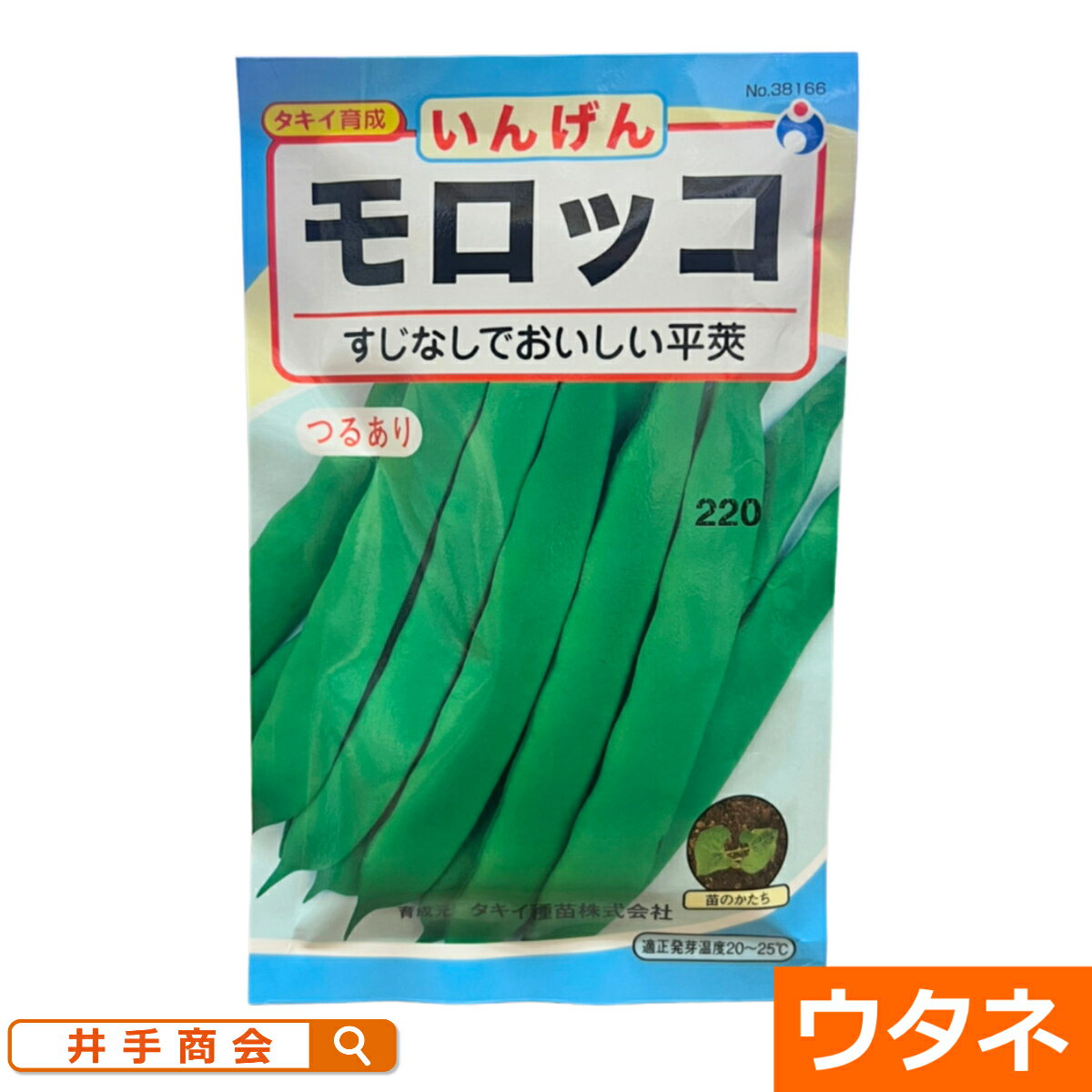 Rakuten - （つるあり）モロッコ（種:ウタネ）[いんげん 茶豆 種子 エンドウ 種 家庭菜園]