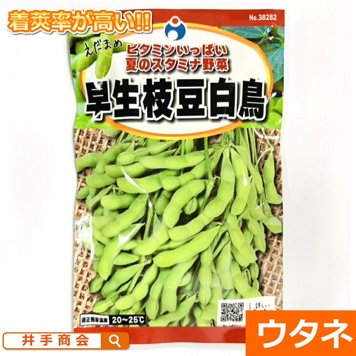 早生枝豆白鳥（えだまめ）（種:ウタネ）[えだまめ 枝豆 種 家庭菜園 種子]