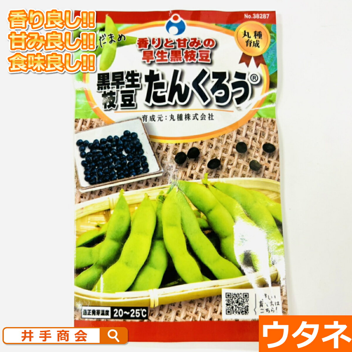 黒早生枝豆たんくろう（えだまめ）（種:ウタネ）[えだまめ 家庭菜園 枝豆 種 種子]