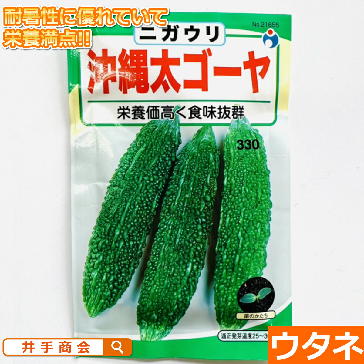 沖縄太ゴーヤ（ニガウリ）（種:ウタネ）[にがうり 種子 種 ゴーヤ 家庭菜園]