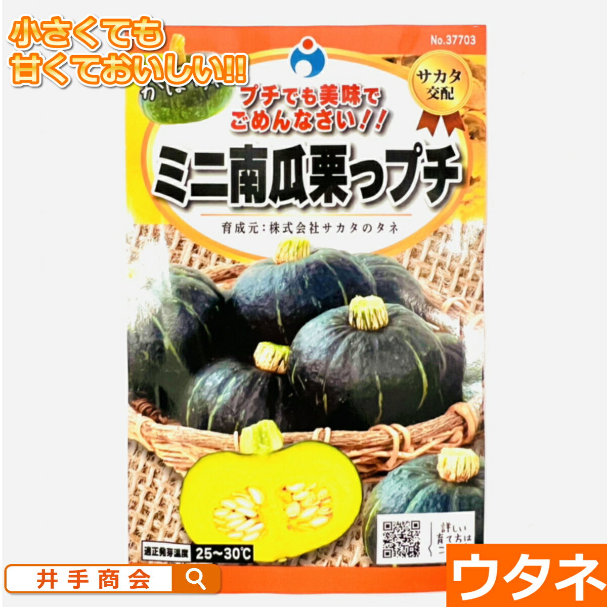 ミニ南瓜栗っプチ(カボチャ)（種:ウタネ）[かぼちゃ 種子 家庭菜園 南瓜 種]