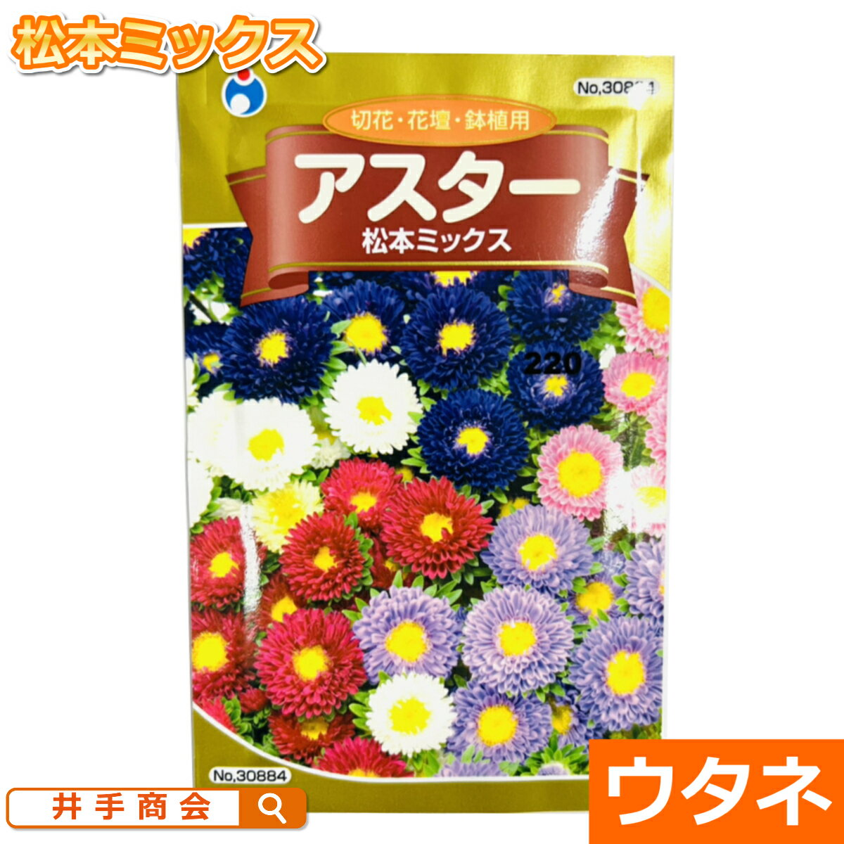 アスター（松本ミックス）（種:ウタネ）[ガーデニング 種 園芸 種子 アスター 三重咲 二重咲 切花]